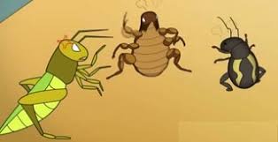 Các hiệp sỹ nhảy cao